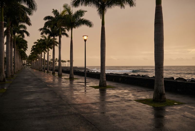 Front de mer de Saint-Denis la nuit, bordé de palmiers